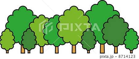 広葉樹林のイラスト素材 8714123 Pixta