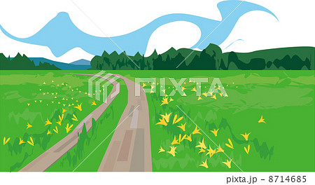 尾瀬の湿原 8714685