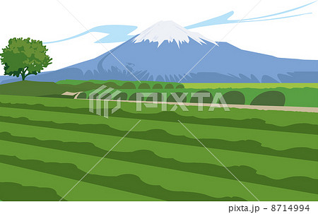 静岡の富士山と茶畑のイラスト素材