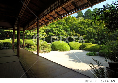 日本庭園 日本庭園 8716189