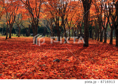 笹流ダム 笹流ダム 8716913