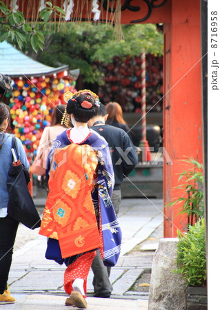京都舞妓 8716958