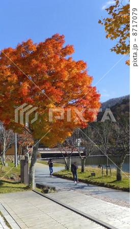 中禅寺湖畔の紅葉 8717079