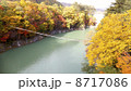 熊野沢橋からの川俣湖　 8717086