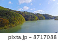 もみじ谷大吊橋からの紅葉 8717088