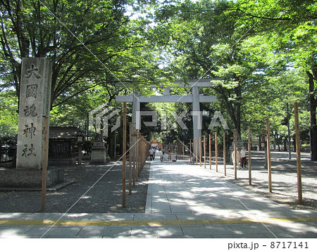 大國魂神社 8717141