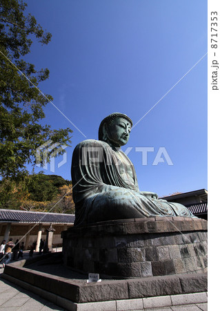 鎌倉大仏 8717353