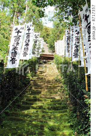 苔の階段(杉本寺) 苔の階段(杉本寺) 8717357