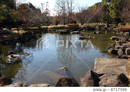 青海南ふ頭公園・心字池 8717399