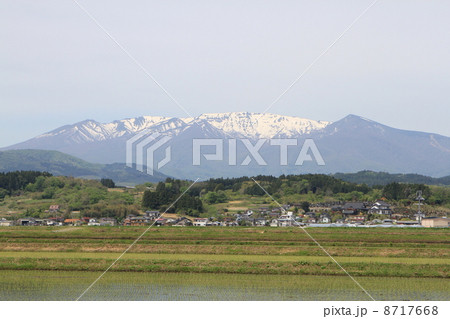 春の蔵王連峰 春の蔵王連峰 8717668