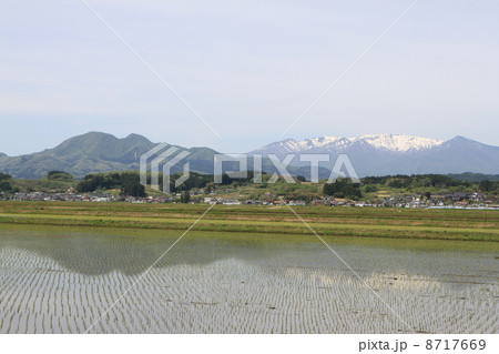 春の蔵王連峰 8717669