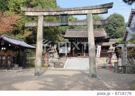 京都 離宮八幡宮 京都 離宮八幡宮 8718776
