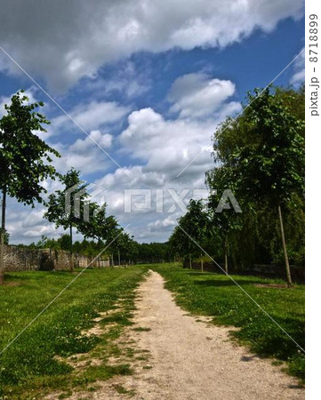 プロヴァンの景色 8718899