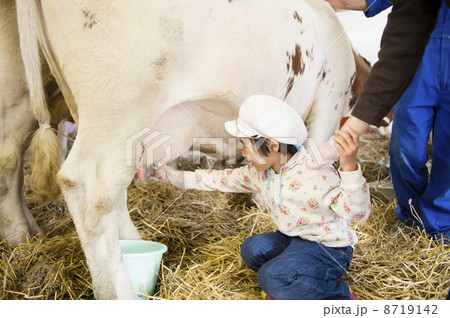 乳搾り 8719142