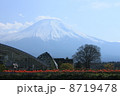 花の都からの富士山１ 8719478