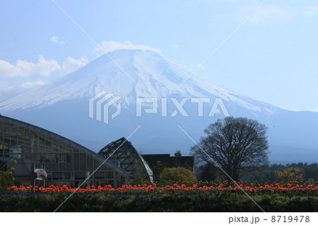 花の都からの富士山1 花の都からの富士山1 8719478