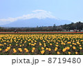 花の都からの富士山３ 8719480