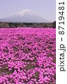 芝桜と富士山４ 8719481