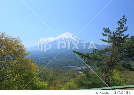 紅葉台からの富士山４ 8719485