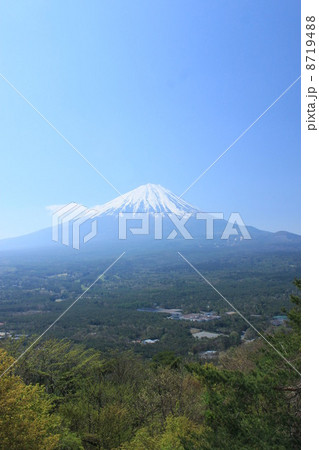 紅葉台からの富士山２ 8719488