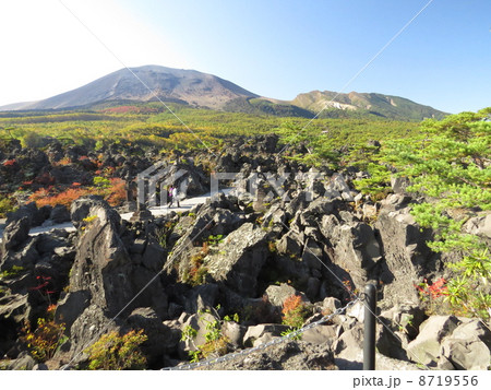 群馬県鬼押し出しの風景 群馬県鬼押し出しの風景 8719556