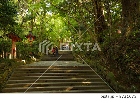 宇佐神宮 8721675