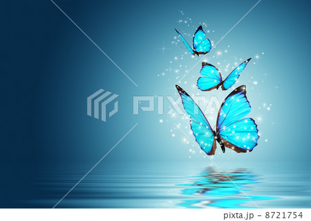 butterfly 8721754