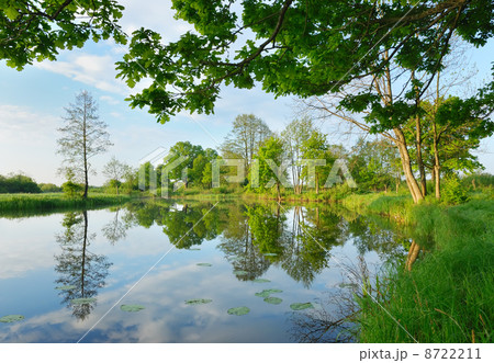 Reflection of trees in the water in the early spring morning 8722211