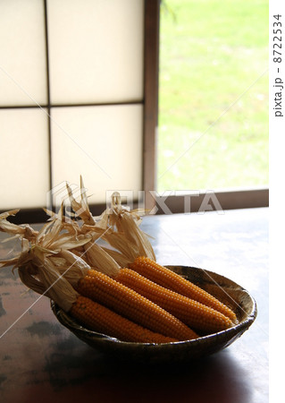 とうもろこし とうもろこし 8722534
