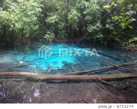 ブループール B ブループール B 8723274