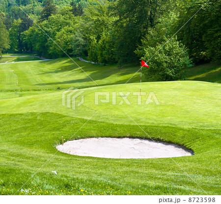 golf field. green grass. spring landscape golf field. green grass. spring landscape 8723598
