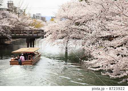 京都 岡崎の十石舟めぐり 8723922