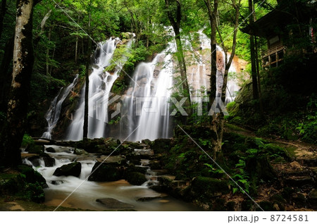 金引の滝 8724581