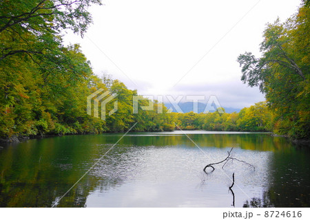 雨飾高原　鎌池 8724616