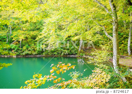 雨飾高原 鎌池 雨飾高原 鎌池 8724617