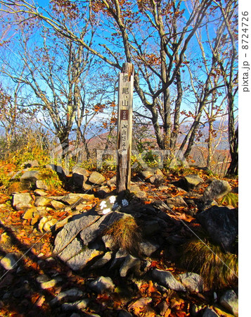 横尾山の山頂（山梨県北杜市･長野県南佐久郡川上村） 8724726