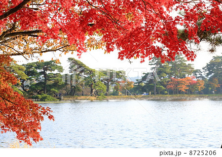 南湖公園 8725206