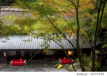 嵯峨野の秋 8725395