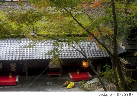 嵯峨野の秋 8725397