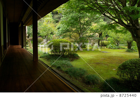 偕楽園　好文亭（茨城県水戸市） 8725440