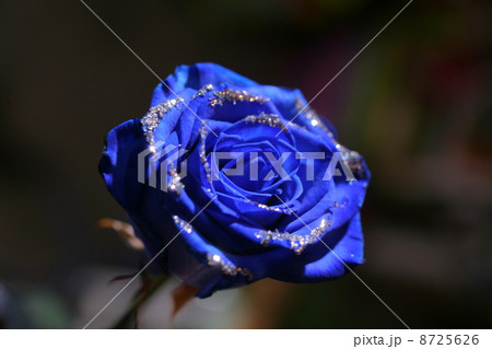 青いバラ　ラメ付き 8725626