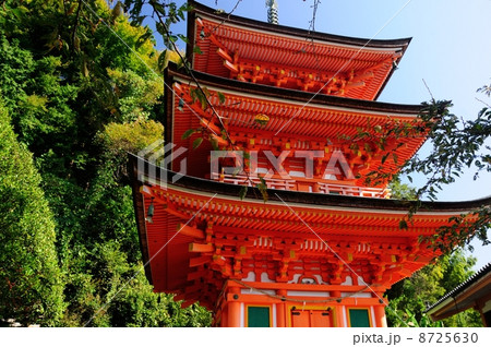 竹生島宝厳寺三重の塔 8725630