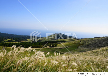 10月東伊豆・稲取細野高原05 8725793