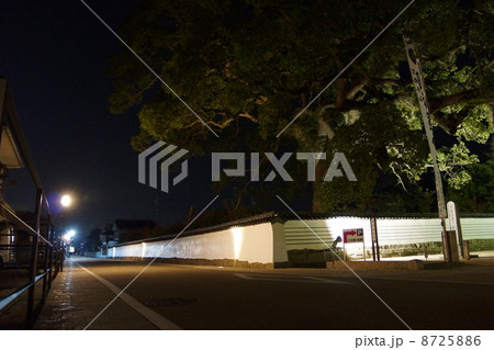 周防国分寺 8725886