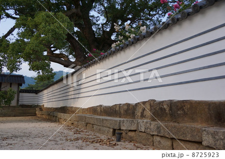 周防国分寺 8725923