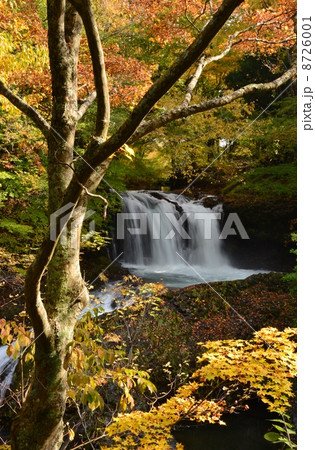 鐘山の滝 8726001