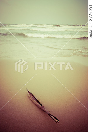 Beautiful sunset at tropical beach. India 8726051