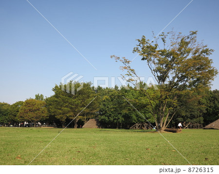 富士見市水子貝塚公園 富士見市水子貝塚公園 8726315
