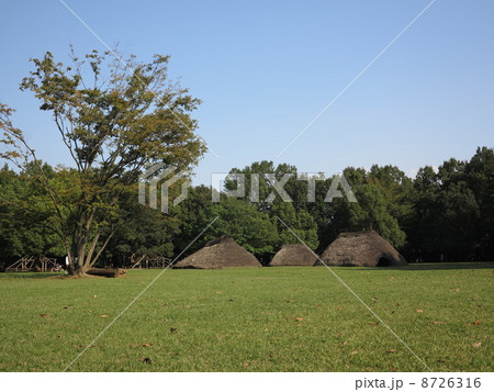 富士見市水子貝塚公園 富士見市水子貝塚公園 8726316