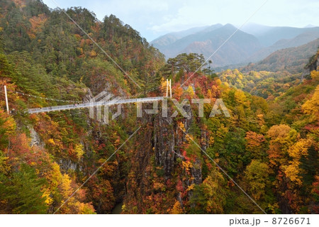 瀬戸合峡渡らっしゃい吊橋 瀬戸合峡渡らっしゃい吊橋 8726671